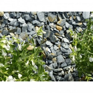 Pizarra Gris 10/30 - 1000 Kg