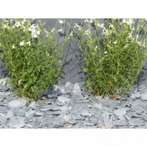 ARDOISE GRISE 30/60 - 250 Kg