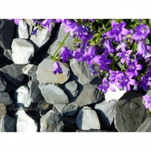 Pizarra Gris 30/60 - 1000 Kg