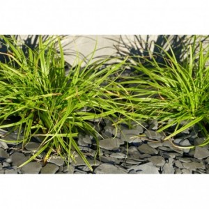 ARDESIA NERA RONDO 12/40 - 250 Kg