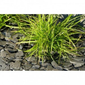 ARDOISE NOIRE RONDO 12/40 - 1000 Kg