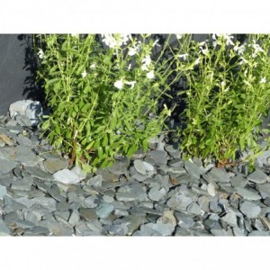 ARDESIA GRIGIA 30/60 - 1500 Kg