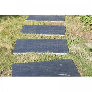 Dalle Pas Japonais Rectangulaire 100x50 - Pack 18