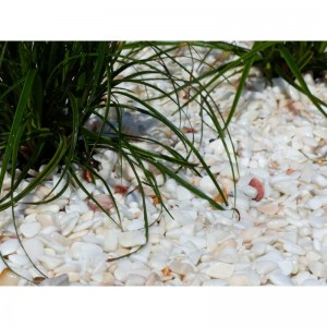 Galet Blanc Rosé 6-12 Pack de 25 M² - 50 sacs - 1000 kg