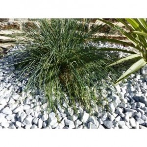 Canto Rodado Gris claro 12-24 Pack 25 M² - 50 sacos - 1000 kg