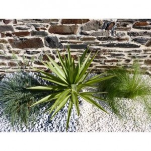 Galet Gris Clair calibre 12-24 mm