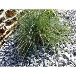 Galet Gris Clair calibre 12-24 mm