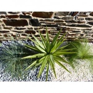 Galet Gris Clair calibre 12-24 mm