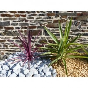 Galet Gris calibre 40-60 mm