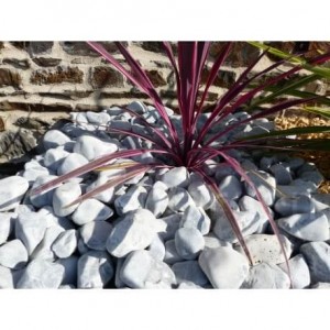 Galet Gris calibre 40-60 mm