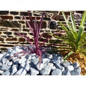 Galet Gris calibre 40-60 mm