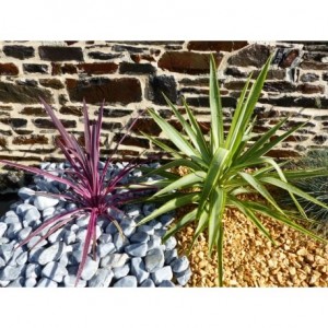 Galet Gris calibre 40-60 mm