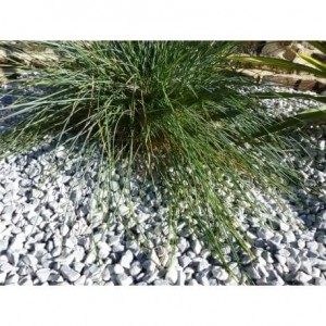 Galet Gris Clair calibre 6-12 mm