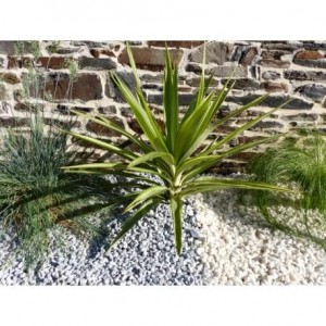 Galet Gris Clair calibre 6-12 mm