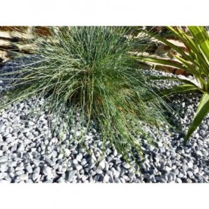 Galet Gris Clair calibre 6-12 mm