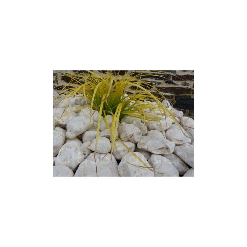 Galet Jaune calibre 40-60 mm