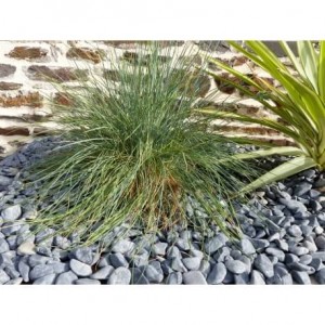 Galet Noir Mat Pack de 5 M² calibre 12-24 mm