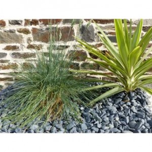 Galet Noir Mat Pack de 5 M² calibre 12-24 mm