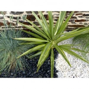 Galet Noir Mat Pack de 5 M² calibre 12-24 mm