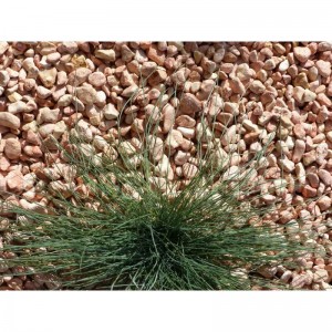 Galet Rose 12-24 Pack de 25 M² - 50 sacs - 1000 kg