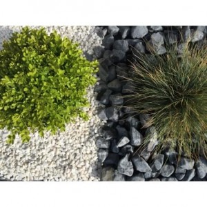 Gravier Blanc Pure calibre 8-12 mm