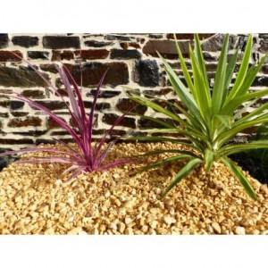 Gravier Jaune 10-15 mm