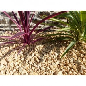 Gravier Jaune 10-15 mm