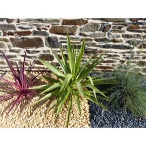 Gravier Jaune 10-15 mm