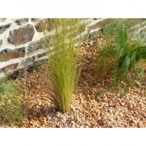 Gravier Jaune 8-12 mm