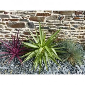 Paillage Ardoise GRIS  10-30  Pack 17 m² - 40 sacs - 1000 kg