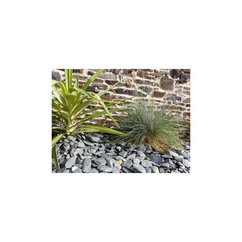 Paillage Ardoise GRIS