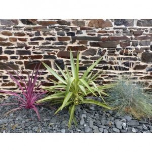 Paillage Ardoise GRIS