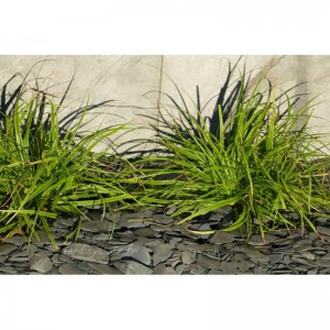 ARDOISE NOIRE RONDO 12/40 - 500 Kg