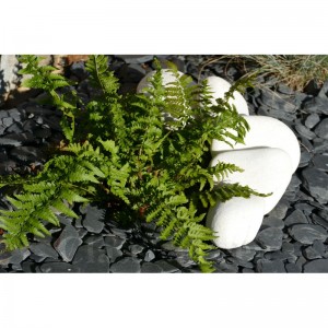 Gros Galets BLANC 100-200 - pack 10 Galets