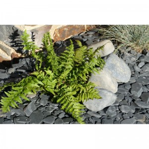 Gros Galet NOIR Mat 100-200 - pack 5 Galets