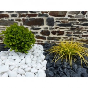 Galet blanc brillant