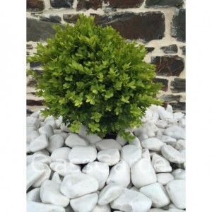 Galet blanc brillant