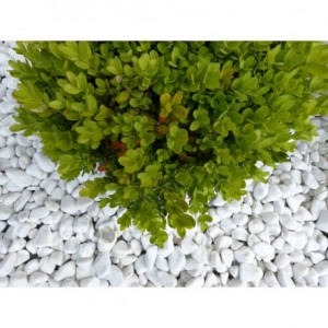 Galet Blanc Brillant 12-24 - VRAC Big-Bag - 1000 kg