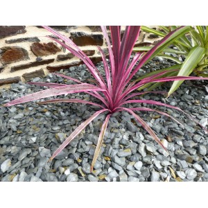 Pizarra Triturada GRIS 10-30 Pack 7 m² - 17 sacos - 425 kg