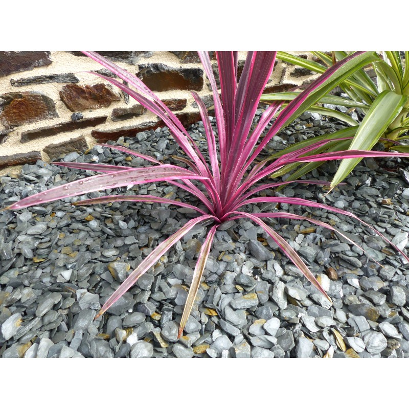 Paillage Ardoise GRIS  10-30  Pack 7 m² - 17 sacs - 425 kg