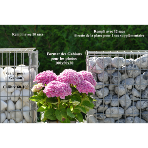 Consiglio di Gabion