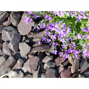 ARDOISE VIOLINE 30/50 - 1500 Kg