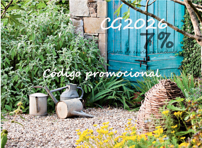 FR - PROMO CG - 5%
